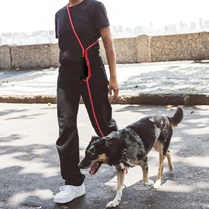Dog Leash Hands Free Dogs Leash 3M Long Waterproof Leashes For Dog