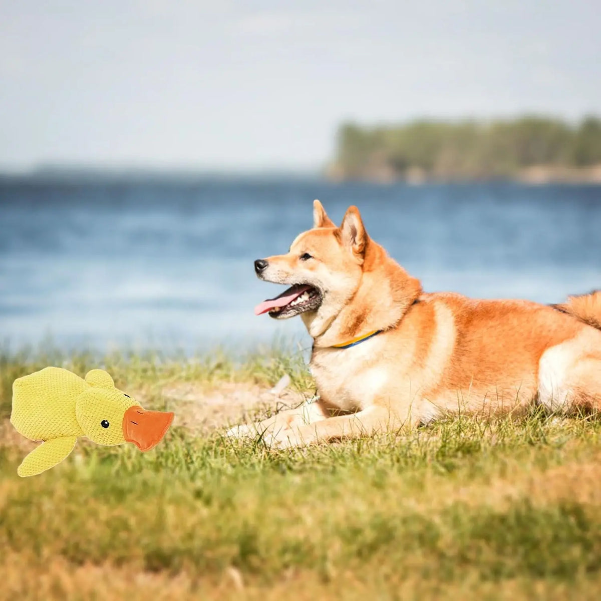 Dog Calming Duck Yellow Duck Dog Toys The Ducks Calming Pillow