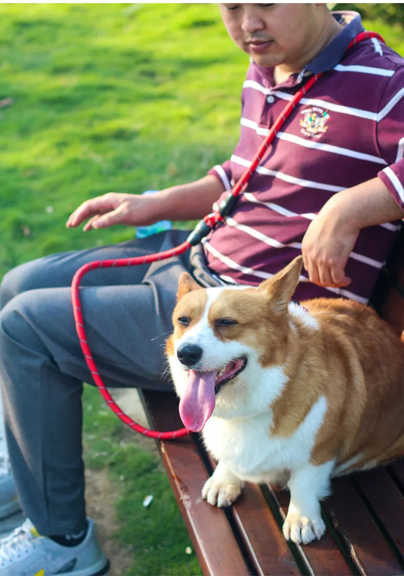 Dog Leash Hands Free Dogs Leash 3M Long Waterproof Leashes For Dog