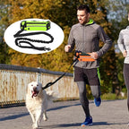 Adjustable Hands-Free Bungee Dog Leash