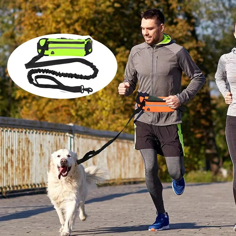 Adjustable Hands-Free Bungee Dog Leash