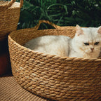 Ouzey Rattan Weaving Basket For Cat Comfortable Sleeping Pet Dog