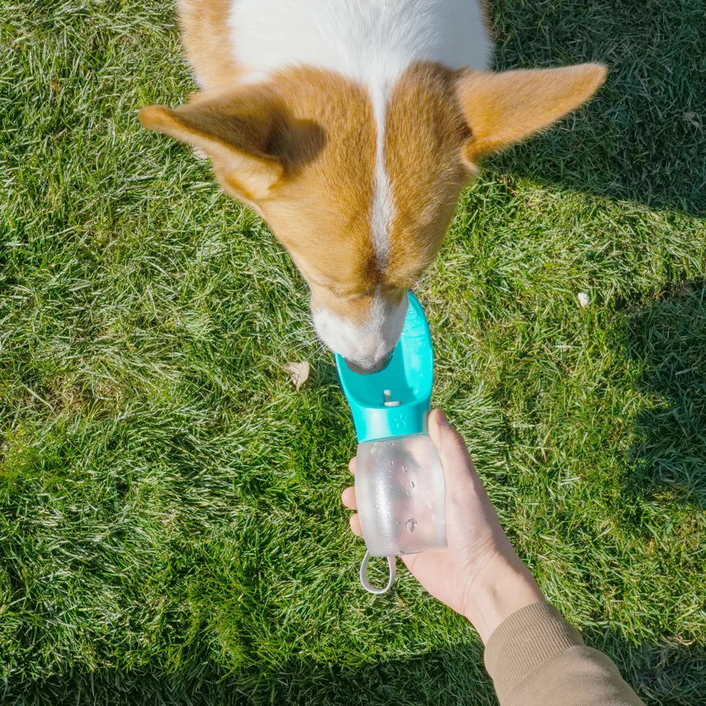 Pet Dog Water Bottle 300Ml Puppy Drinking Bowls For Small Medium