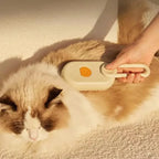 Pet Steam Brush Cat Dog Cleaning Steamy Spray Massage Beauty Comb