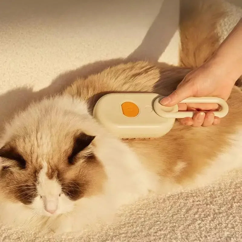 Pet Steam Brush Cat Dog Cleaning Steamy Spray Massage Beauty Comb