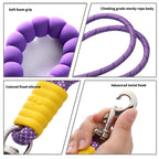 Reflective Hands-Free Running Dog Leash