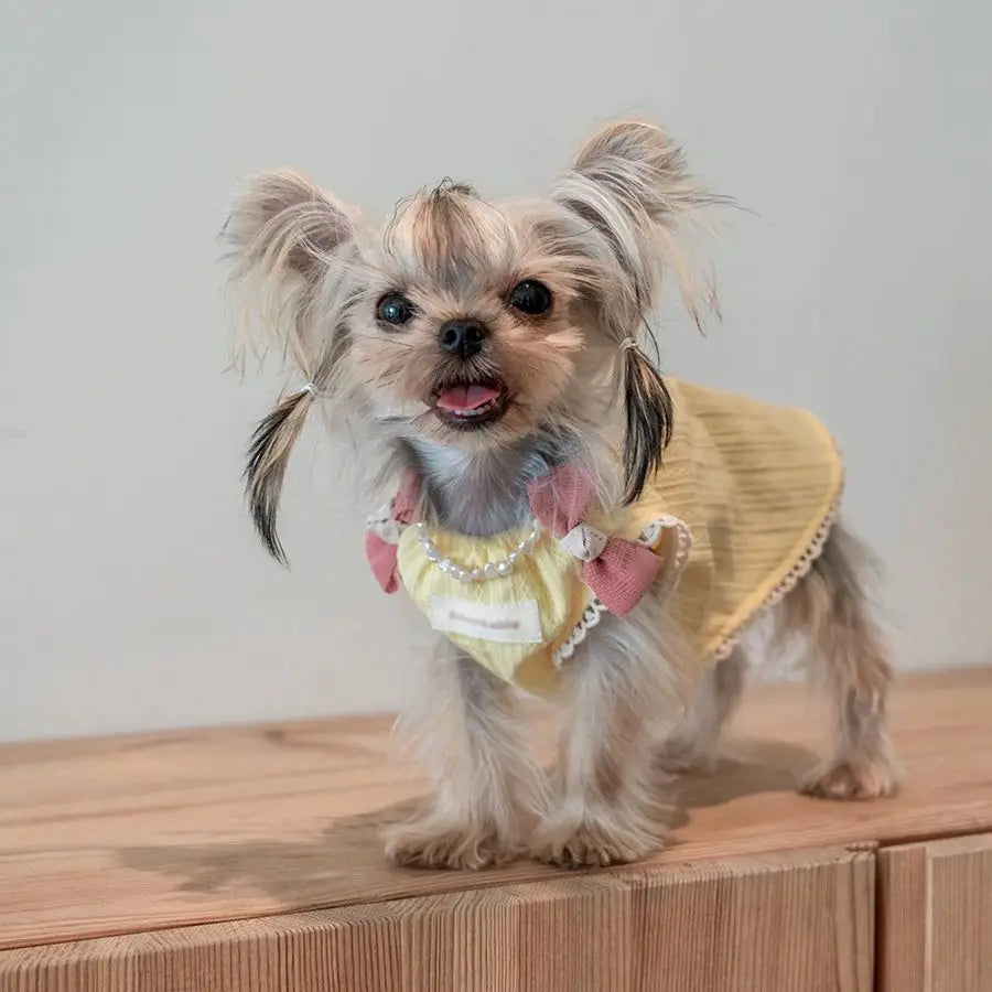 Pet Spring and Autumn Ice Cream Sleepwear Small Dog Teddy Clothing
