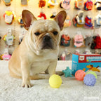 Diameter Pet Dog Ball Toys with Squeak for Small Dogs French