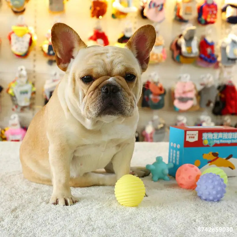 Diameter Pet Dog Ball Toys with Squeak for Small Dogs French