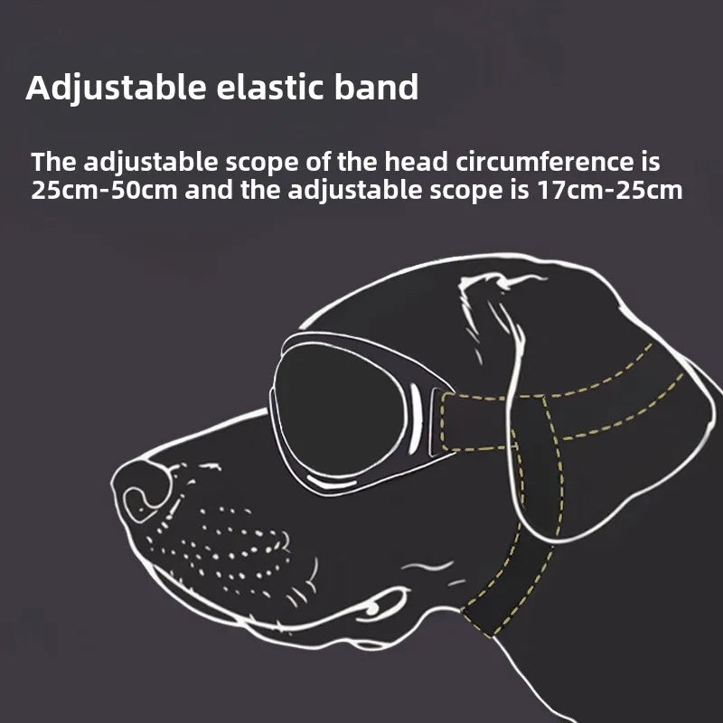Aviator Dog Sunglasses