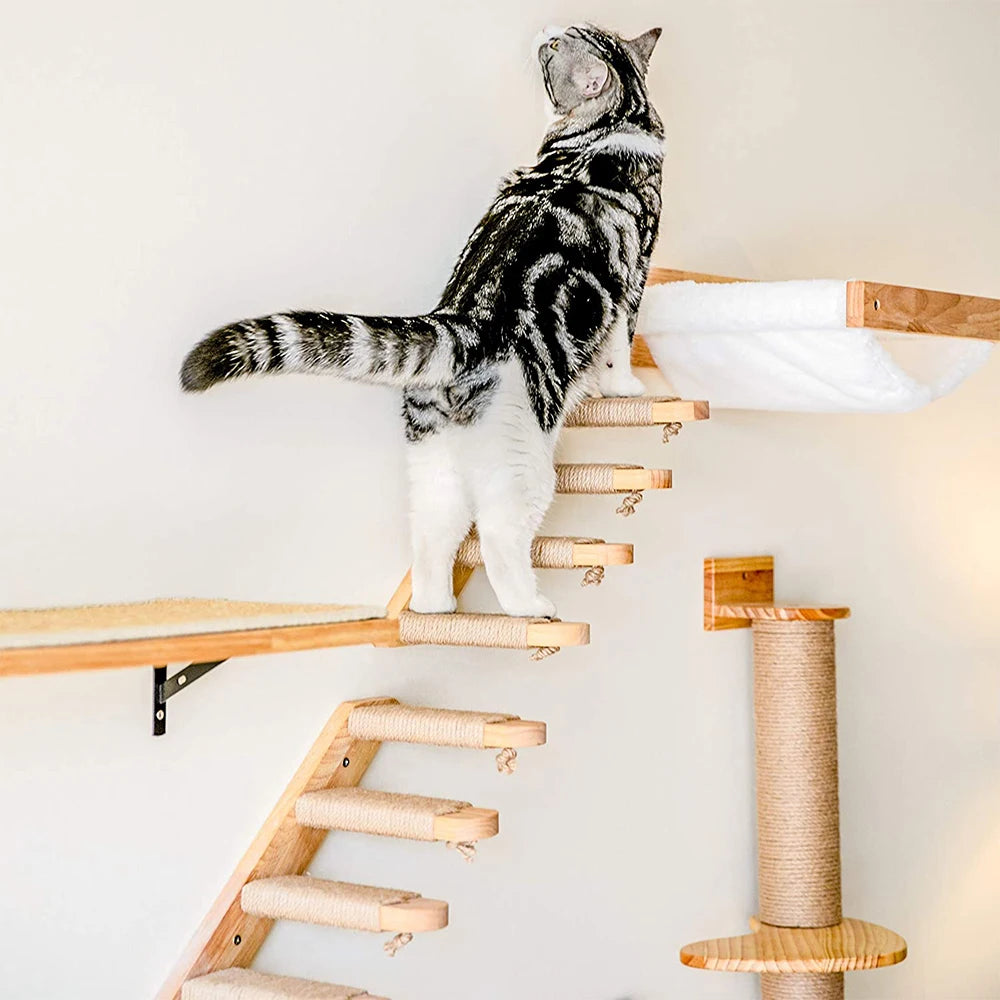 Diy Cat Wall Climbing Shelves Hammock Scratching Post Scratcher