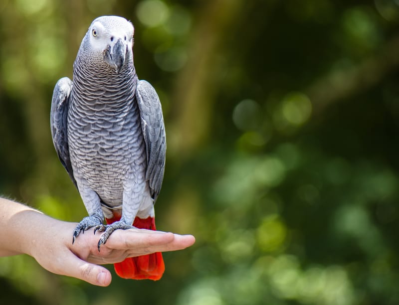 Smart Ways to Understand Petco Return Policy in 2025: Learn More!