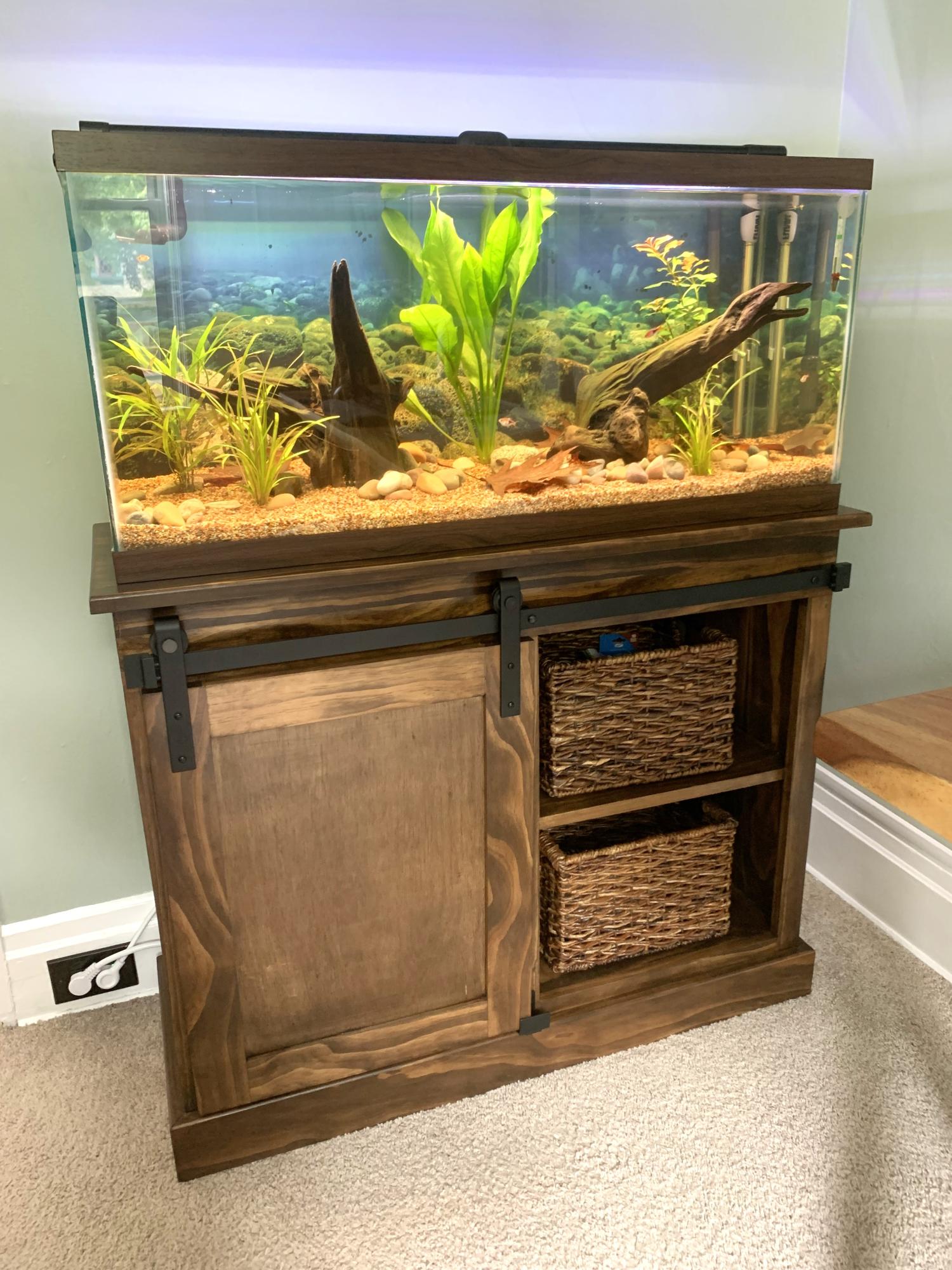 Smart Ways to Enhance Breeding Betta Fish in 2025