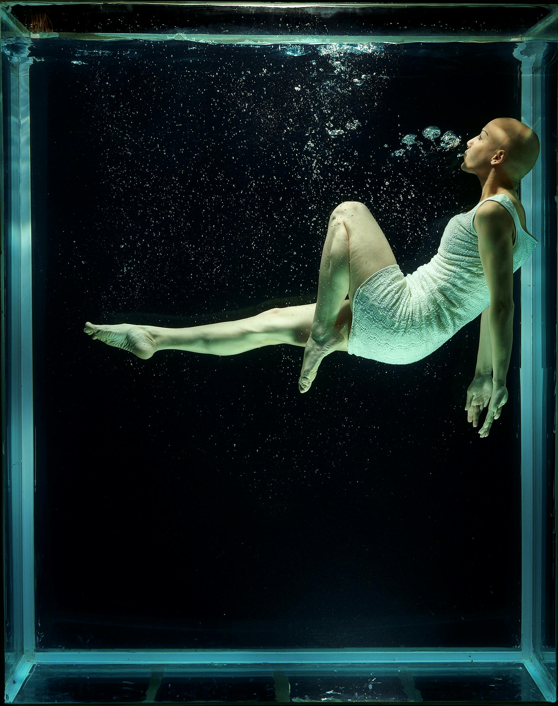 Effective Methods for Caring for Female Betta Fish in 2025: Proven Tips