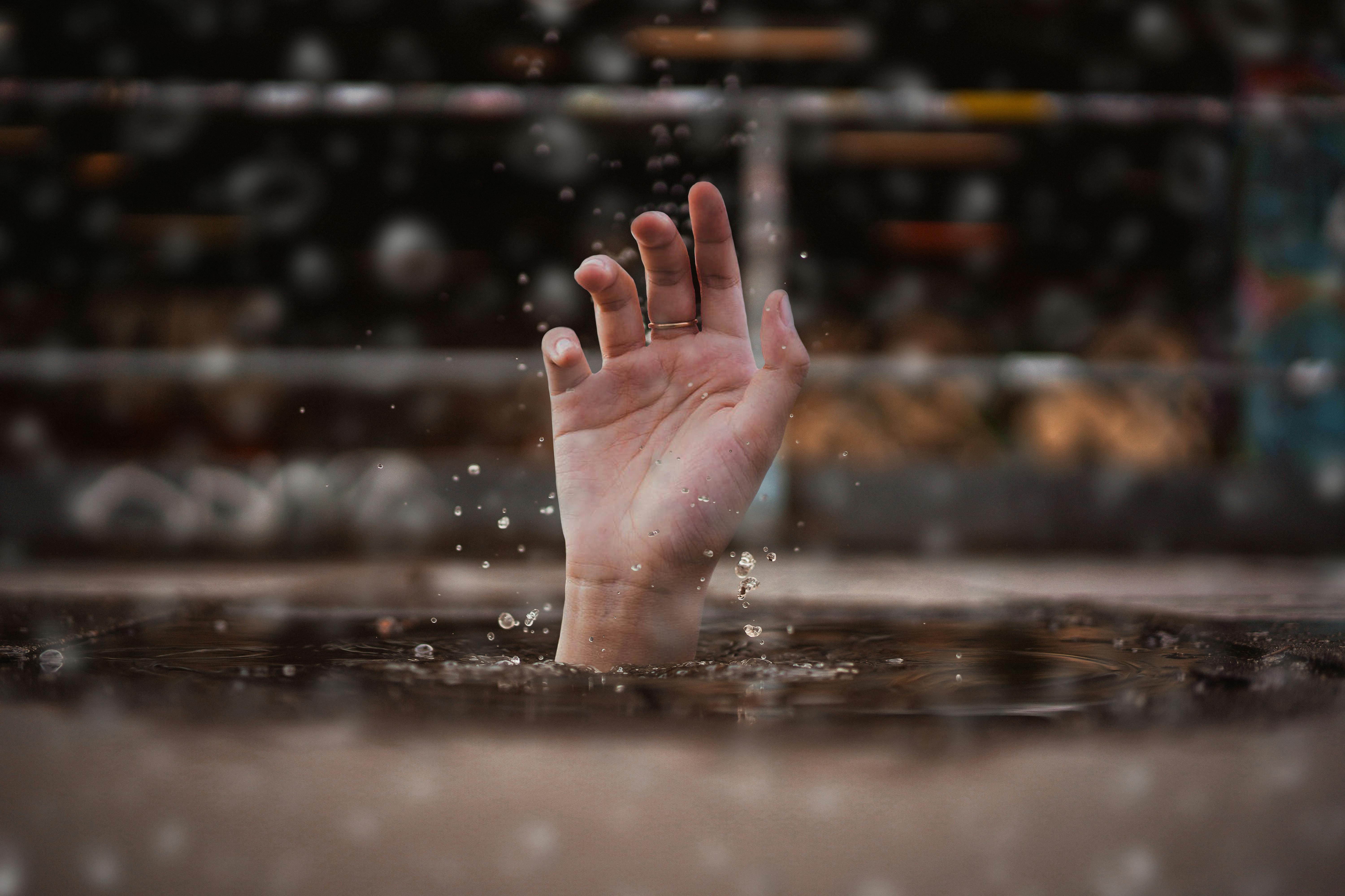 Best 5 Hillstream Loach Options for Modern Aquariums in 2025