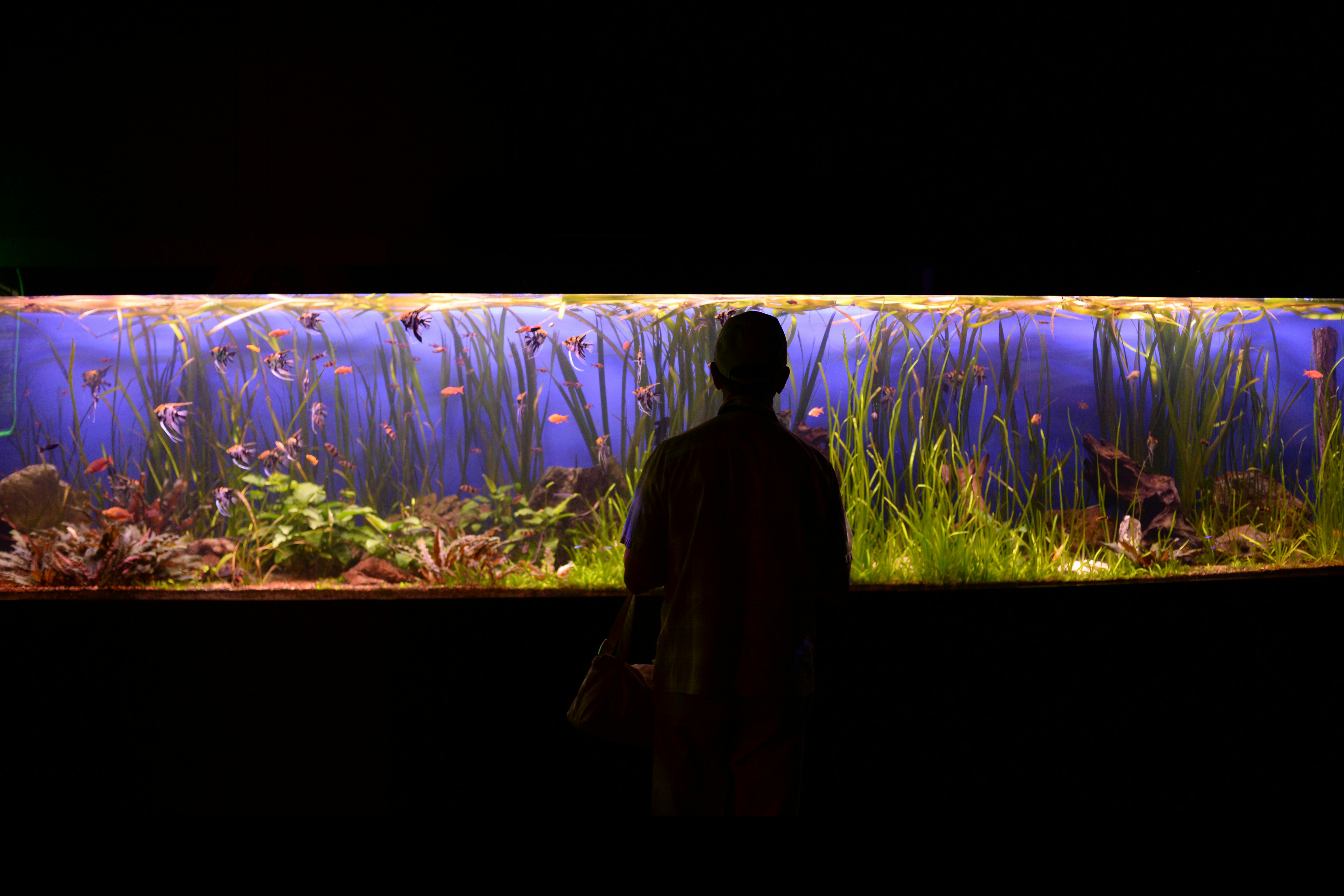 Best 5 Solutions for Your Small Saltwater Tank in 2025
