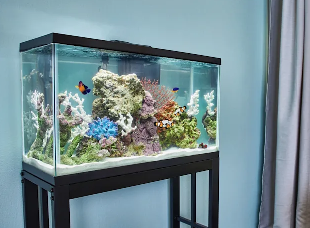 Best 5 Petco Aquarium Sales to Explore in 2025: Enhance Your Fishkeeping Experience!