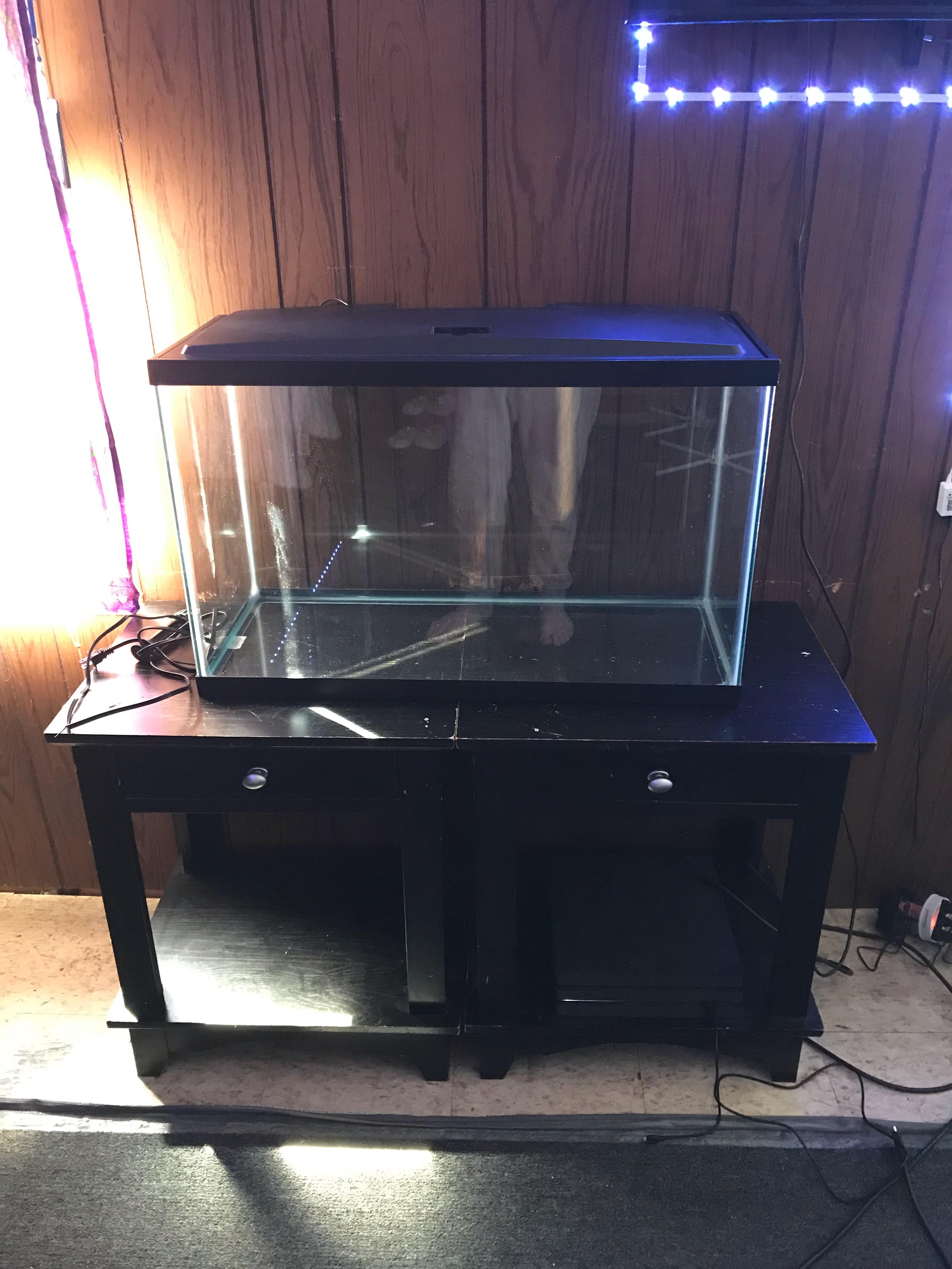 30 Gallon Fish Tank Setup