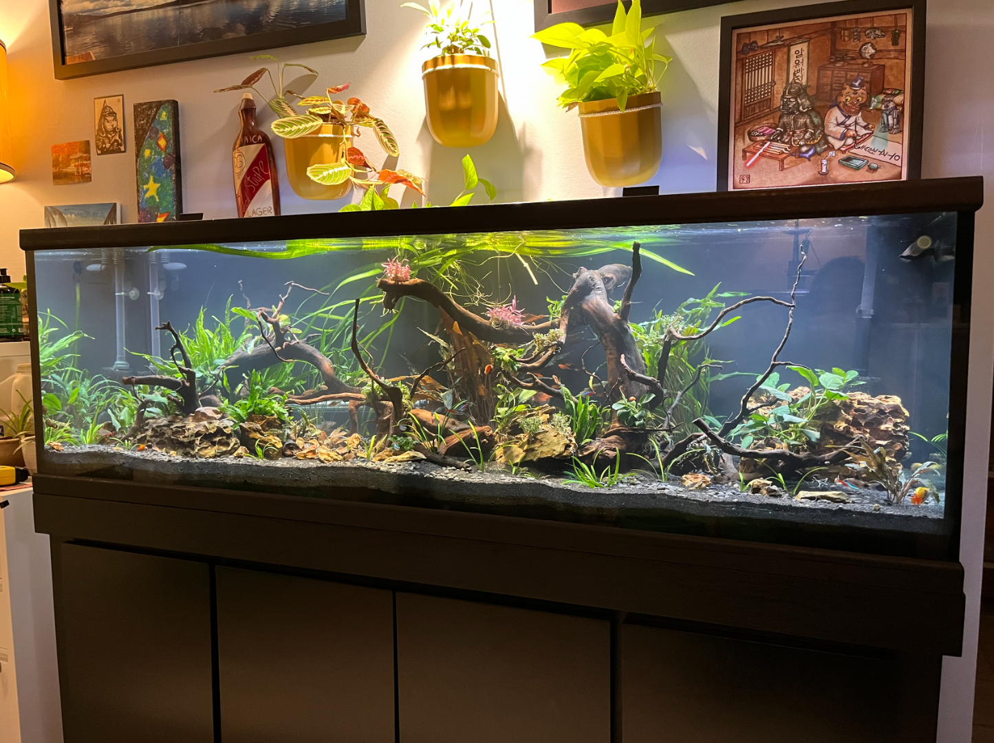 Effective Ways to Optimize Your 100 Gallon Fish Tank for Healthy Aquatic Life in 2025