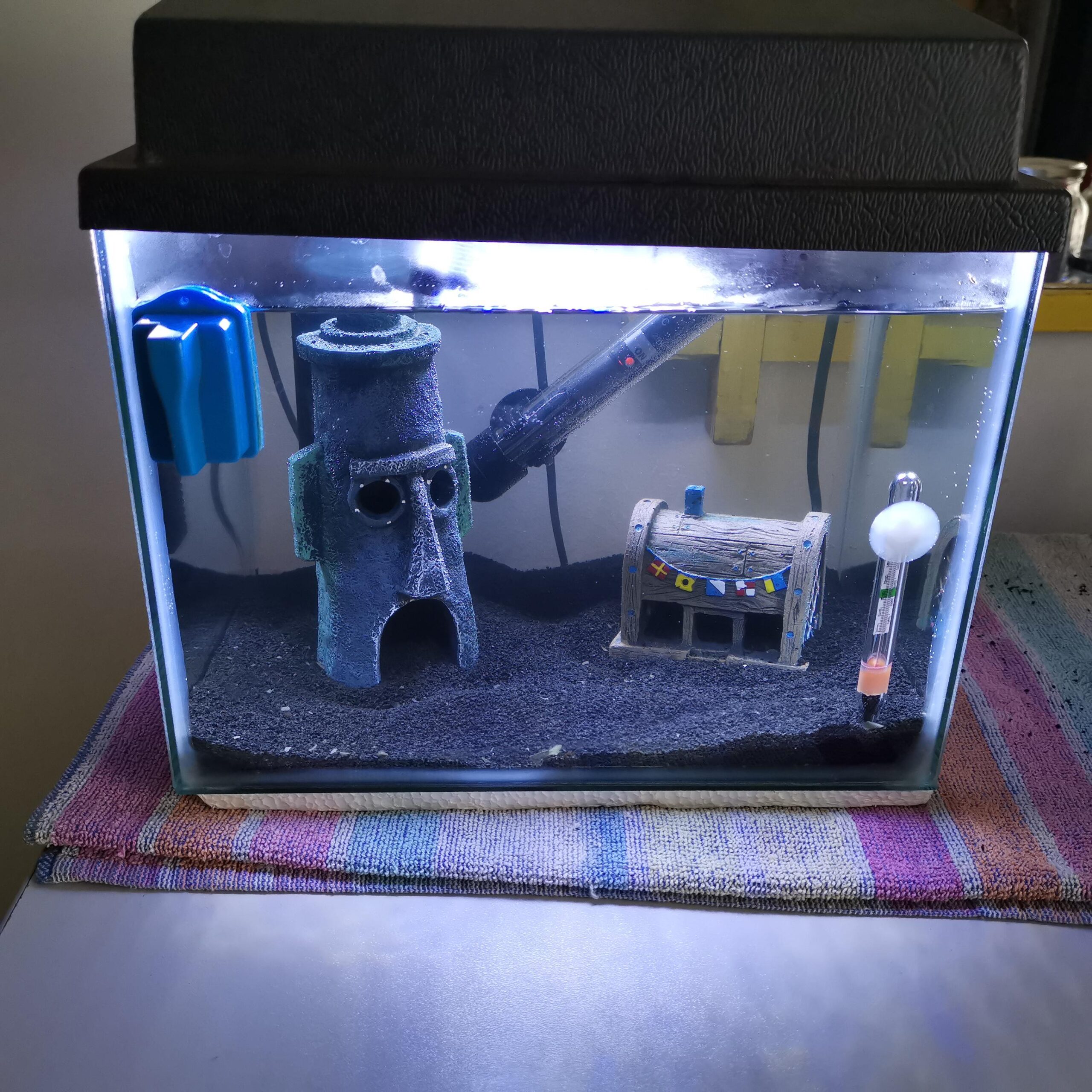 Effective Guide to Setting Up a Small Fish Tank in 2025: Optimize Your Aquatic Space