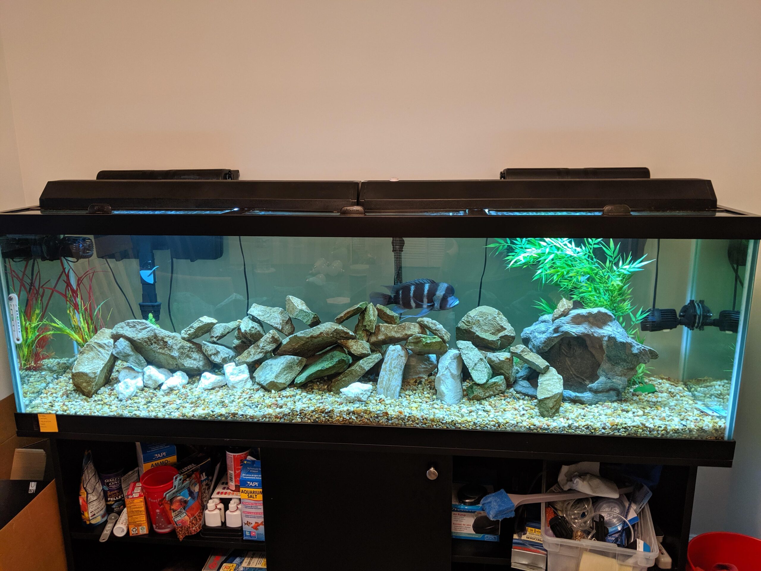 Effective Ways to Maximize Your 125 Gallon Aquarium Space in 2025