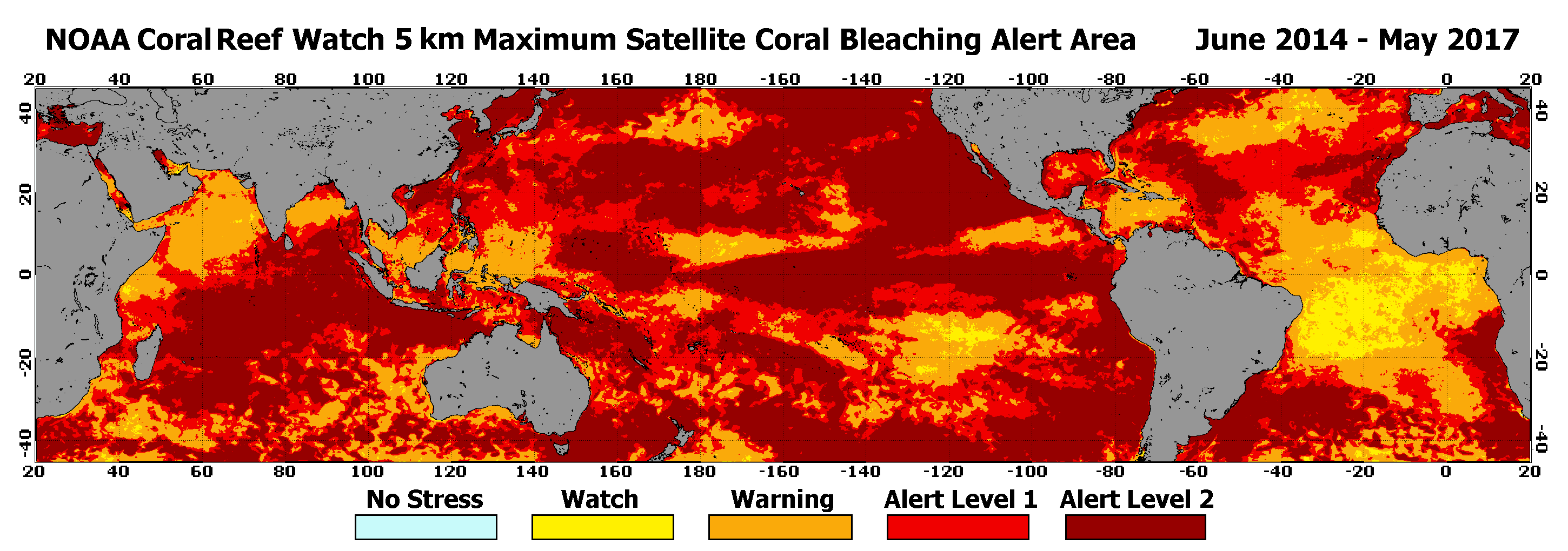 Best 5 Solutions for Protecting World Wide Corals in 2025 – Discover How to Help