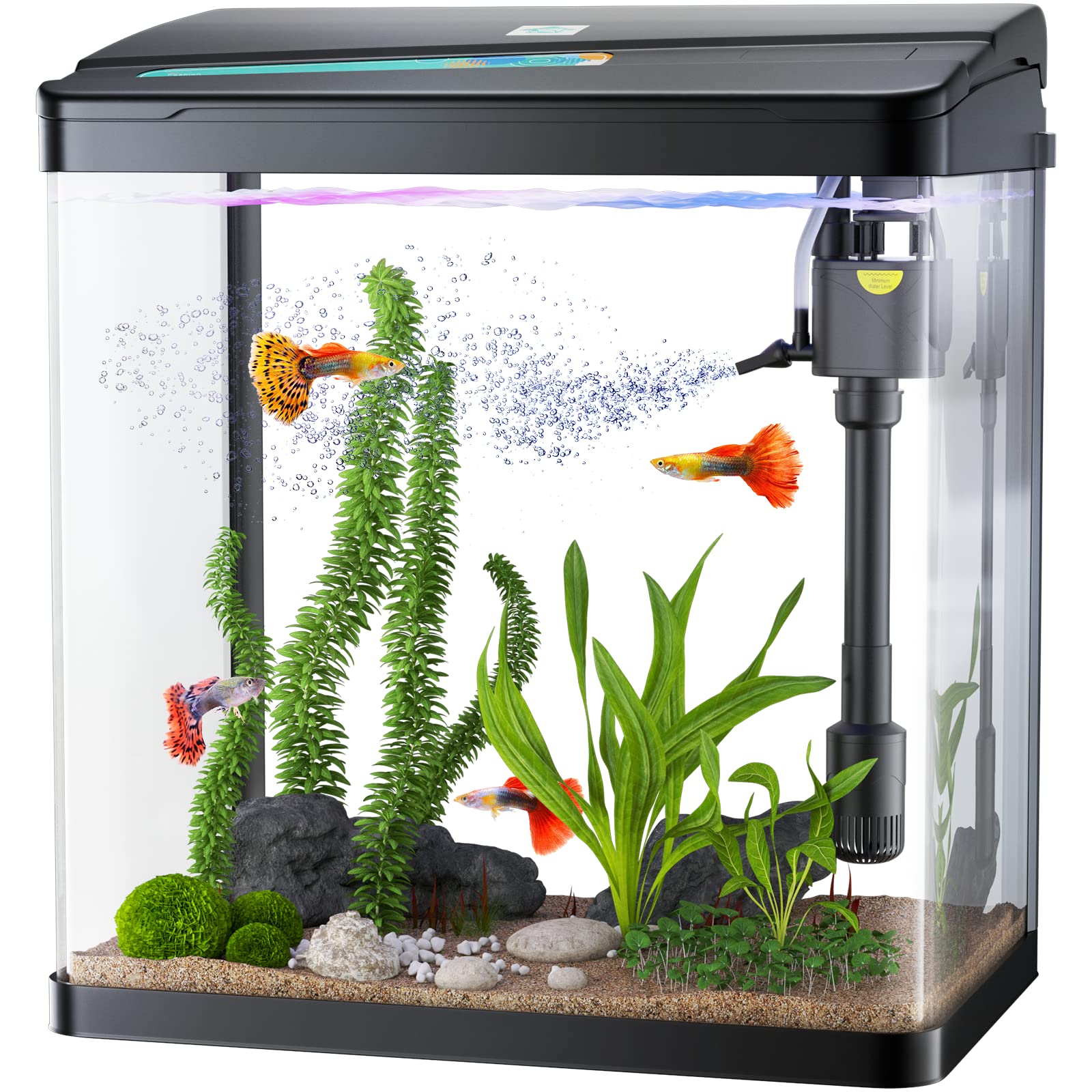 Optimized Small Fish Tank