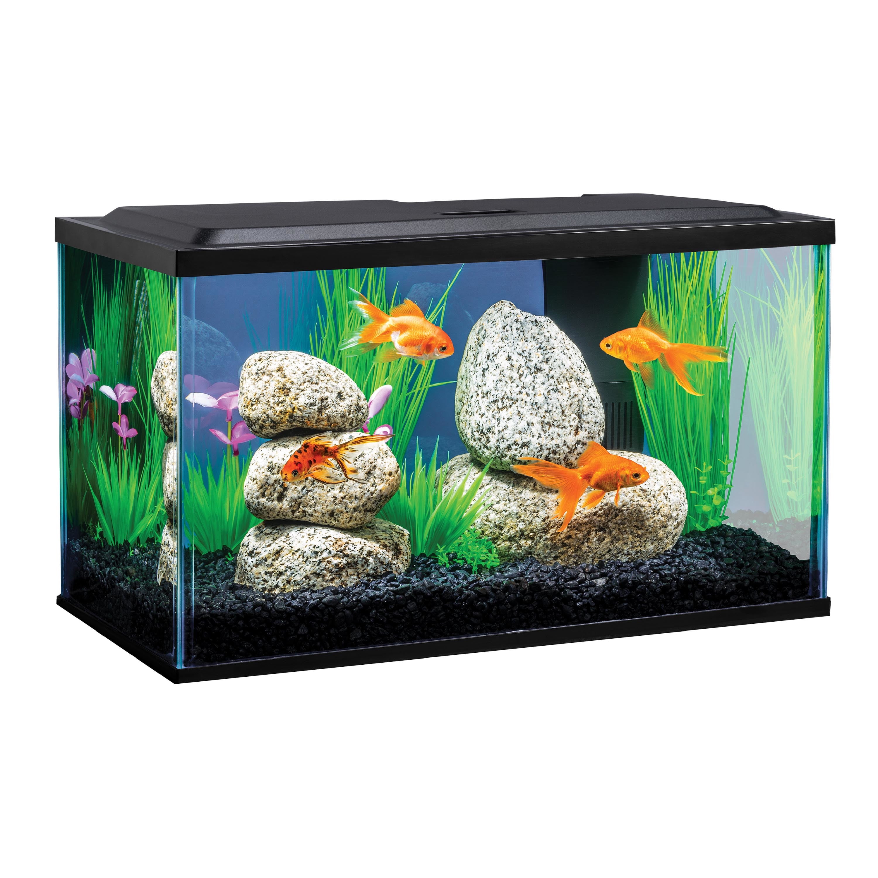 10 Gallon Fish Tank