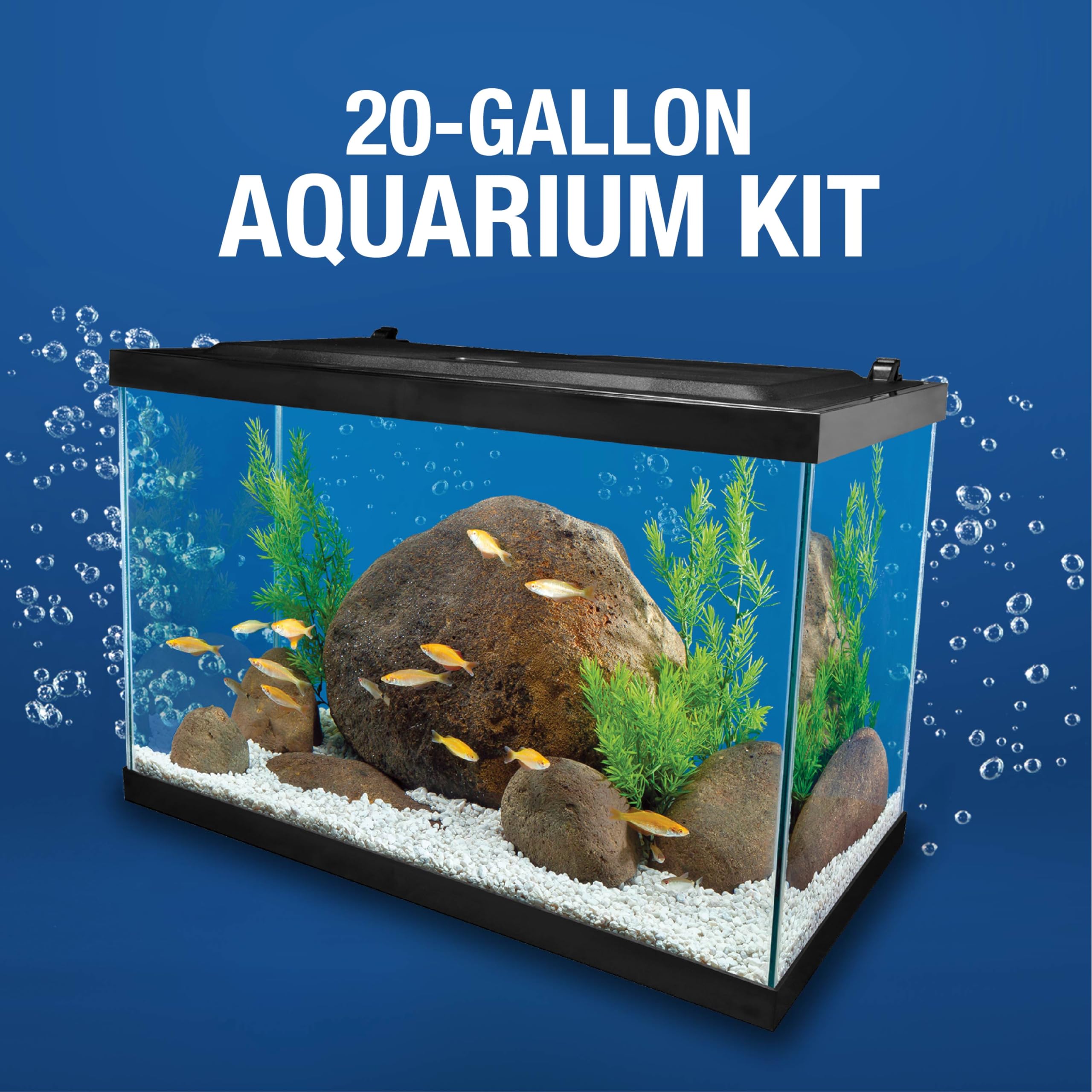 Optimized 20 Gallon Tank