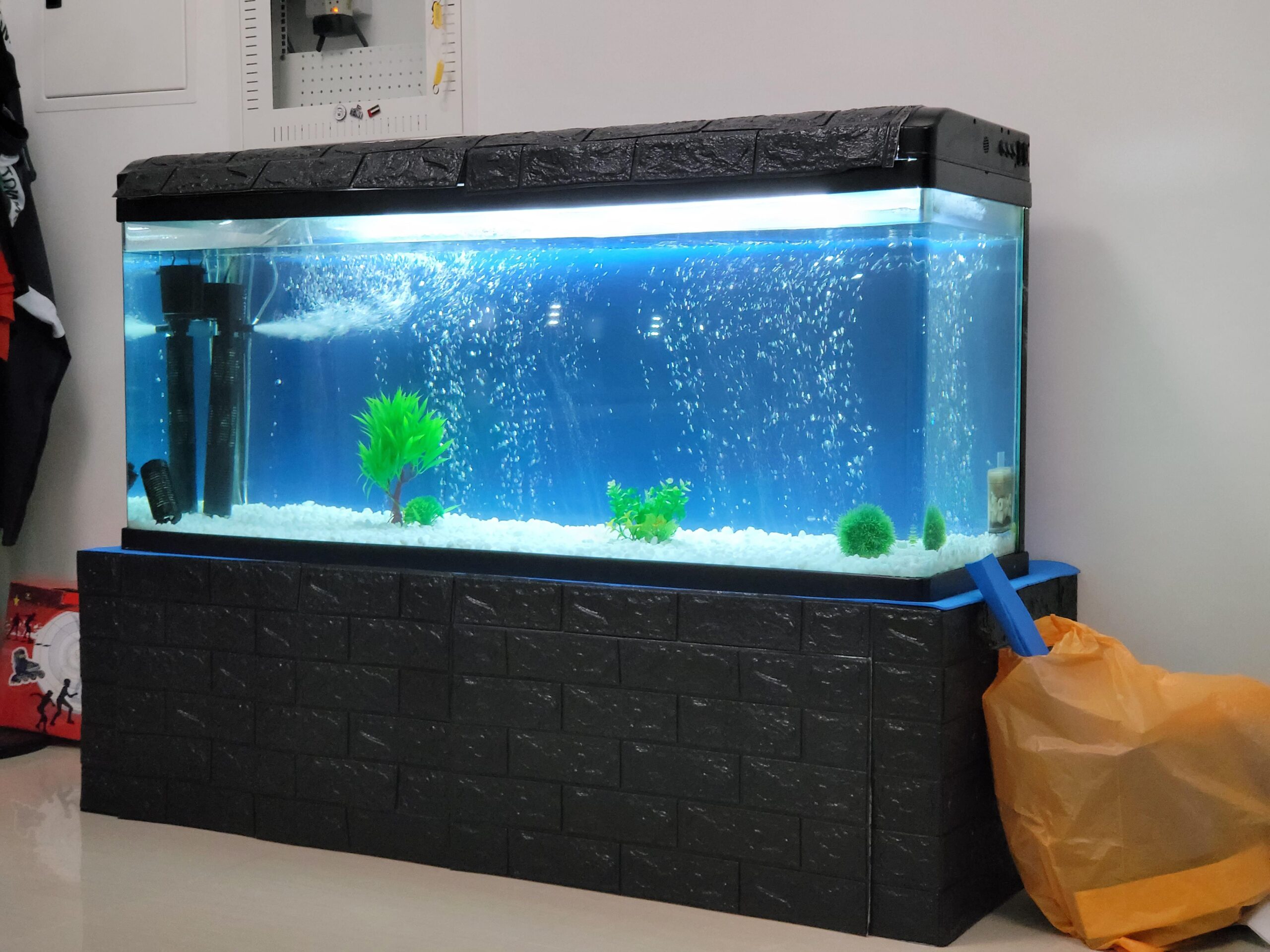 Effective Ways to Optimize a 100 Gallon Tank for Modern Aquariums in 2025