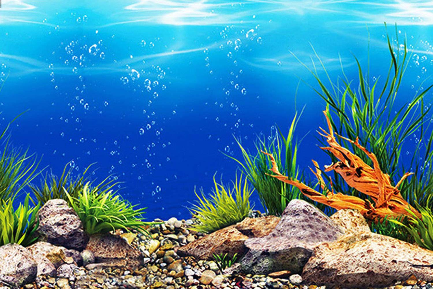 Top 5 Fish Tank Backgrounds to Enhance Your Aquarium Experience in 2025