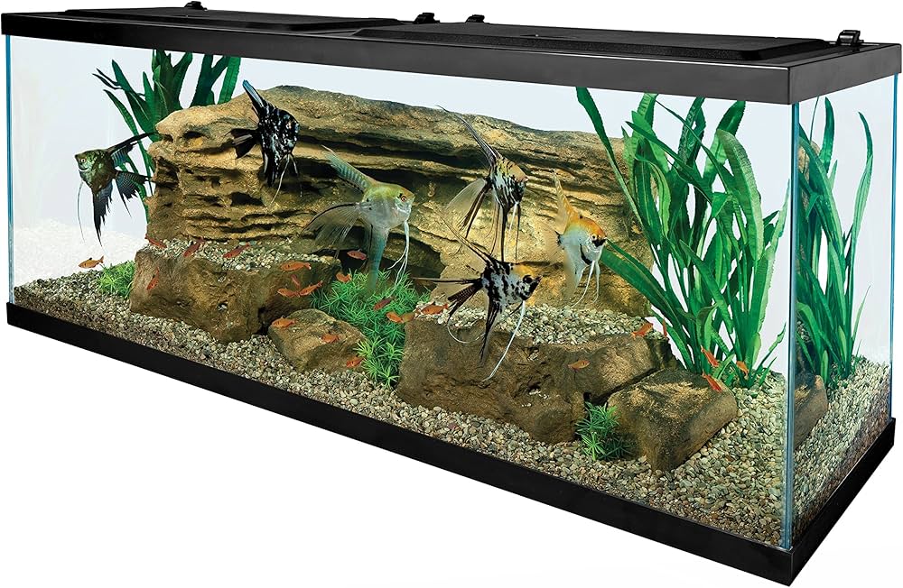 Smart Ways to Optimize Your 55 Gallon Aquarium for Stunning Aquatic Life in 2025