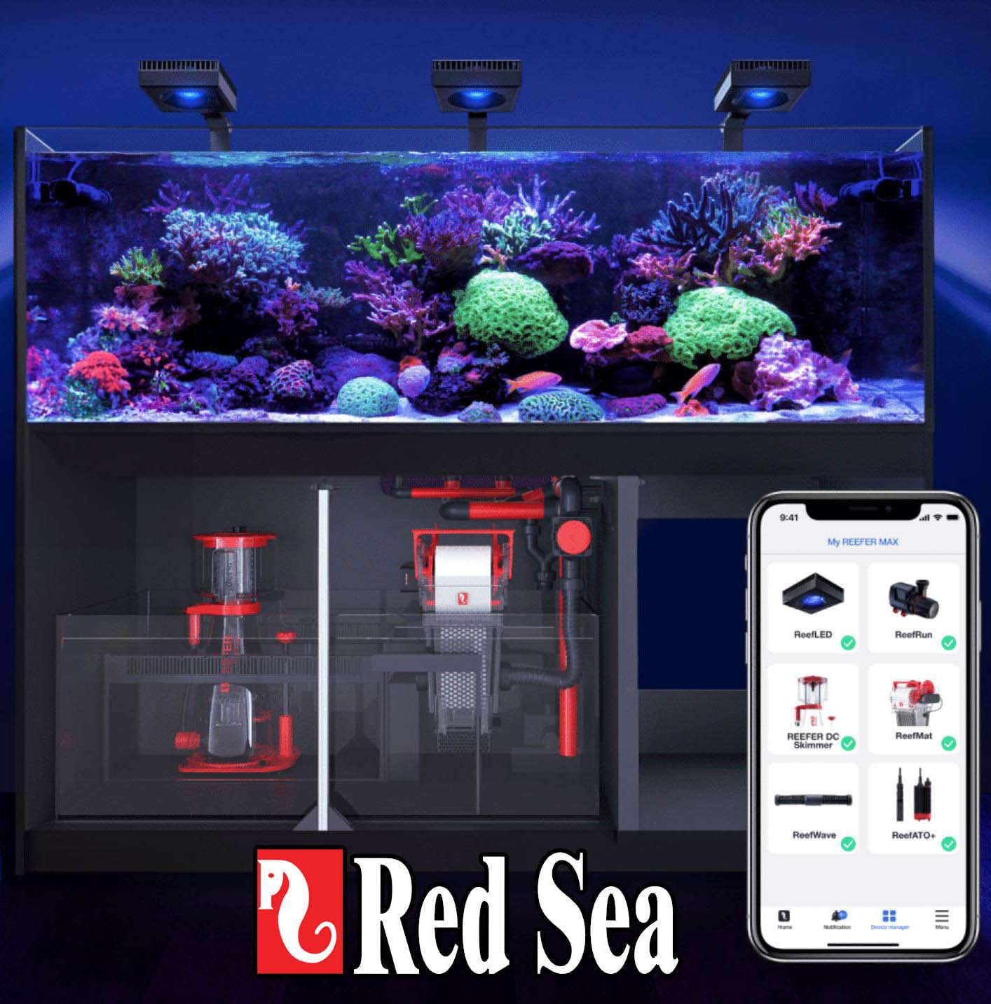 Red Sea Aquarium