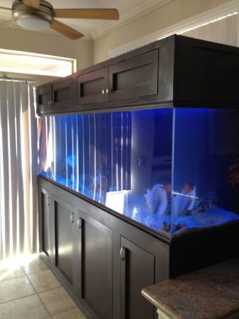 300 gallon fish tank setup