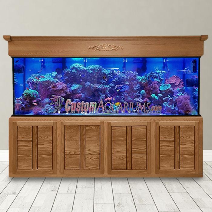 Large tropical fish aquarium