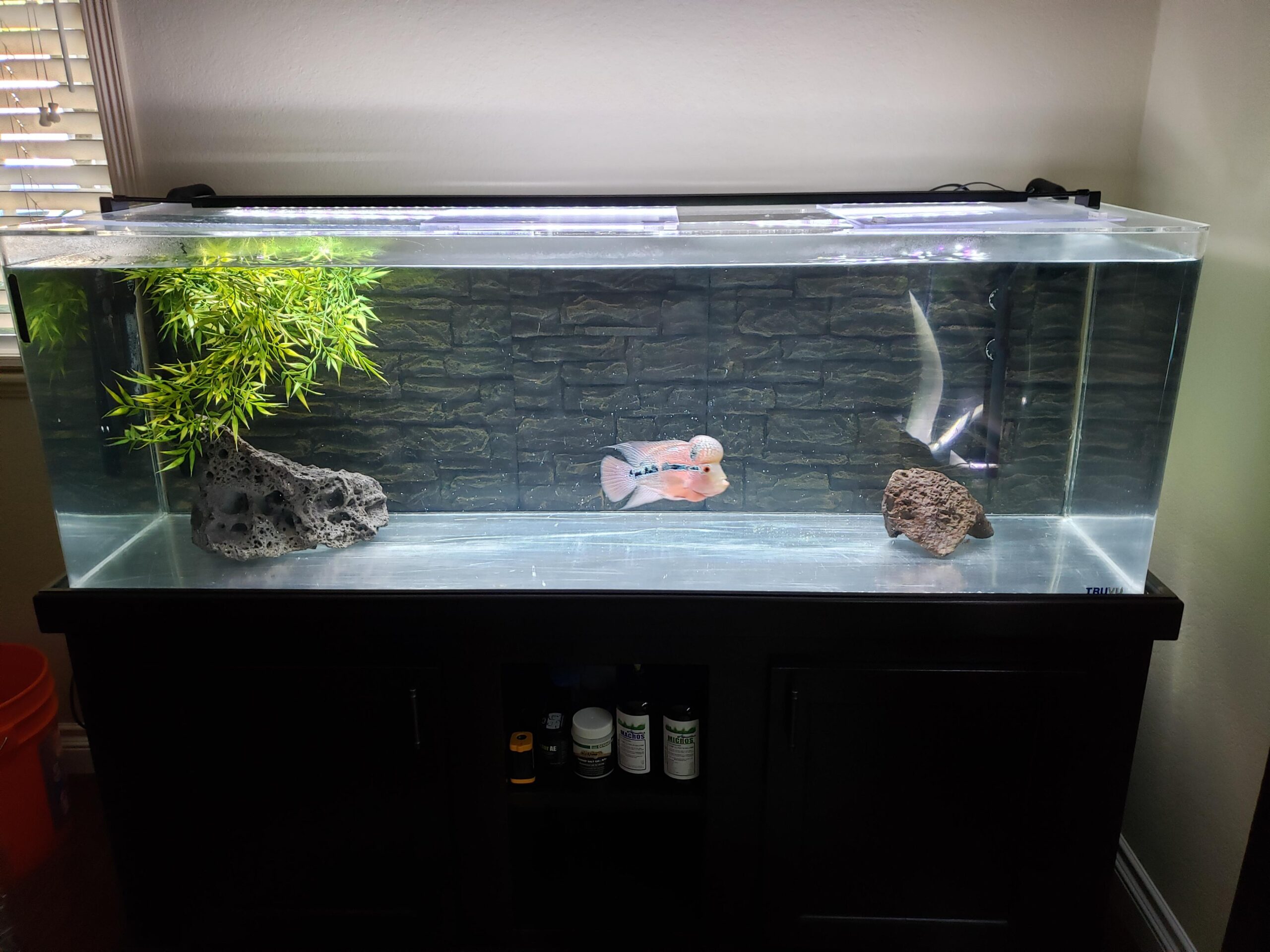 Essential Guide to Setting Up Your 90 Gallon Aquarium in 2025: Practical Tips to Optimize an Aquatic Habitat