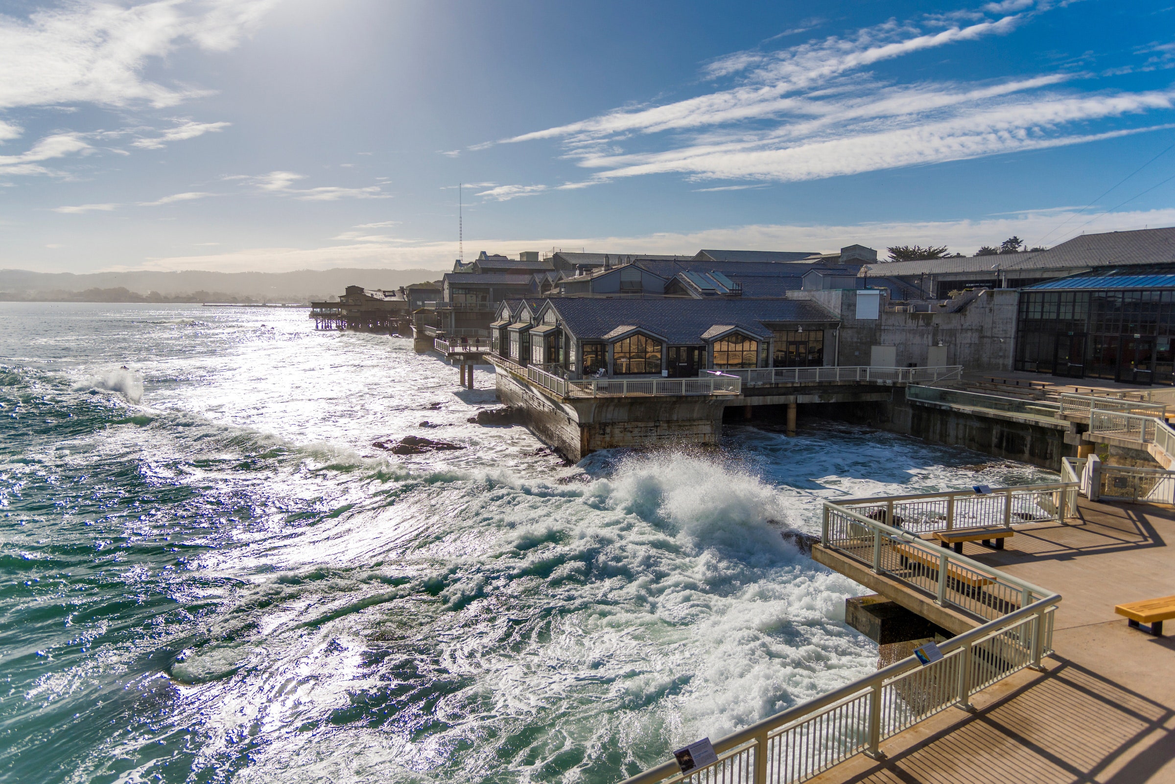 Best 5 Reviews of Monterey Bay Aquarium to Consider in 2025