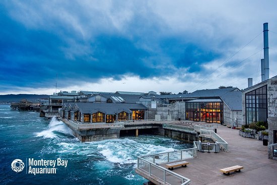 Monterey Bay Aquarium Overview