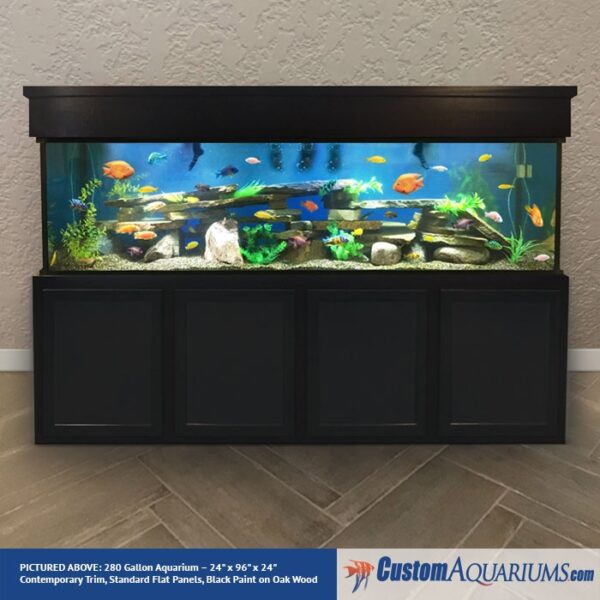 Large Fish Tank