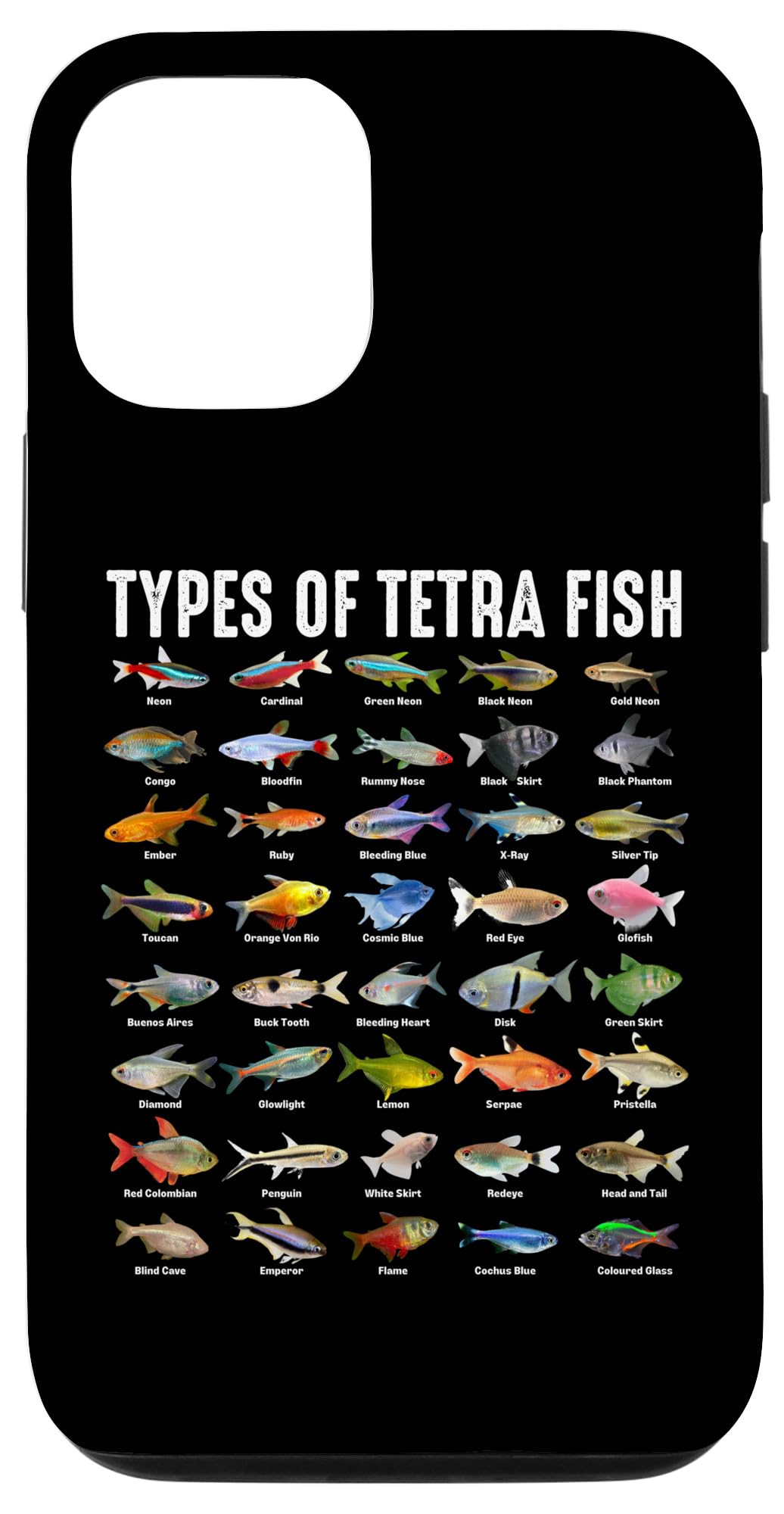 Explore the Top 7 Tetra Fish Types for a Vibrant Aquarium in 2025!