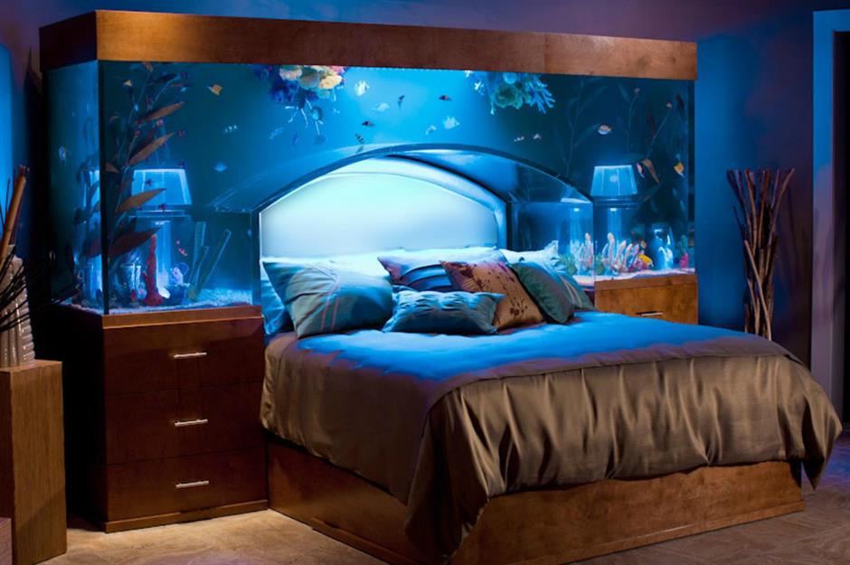 Stylish Aquarium Ideas