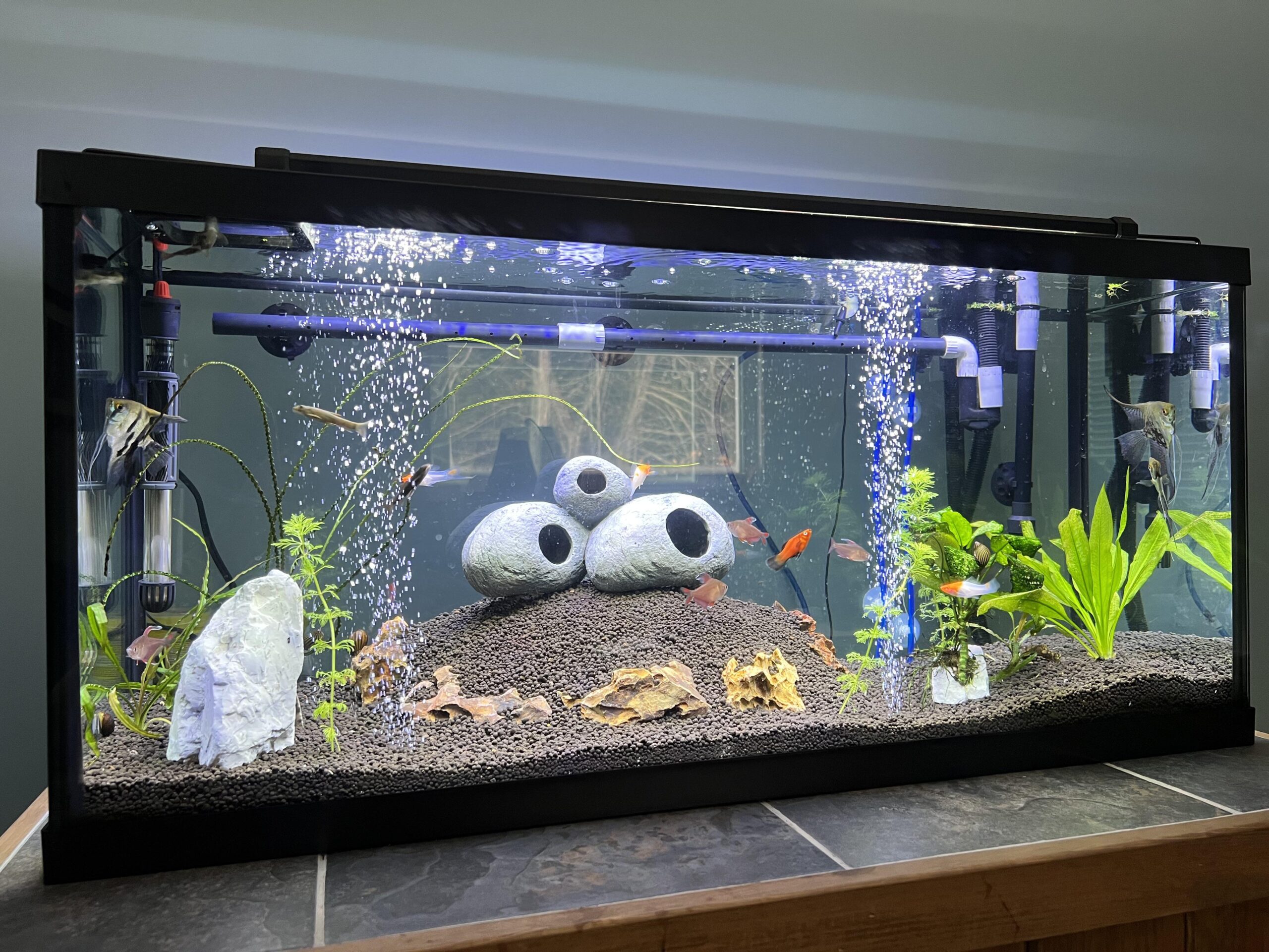 Effective Guide to Setting Up a 30 Gallon Aquarium for Stunning Aquatic Life in 2025