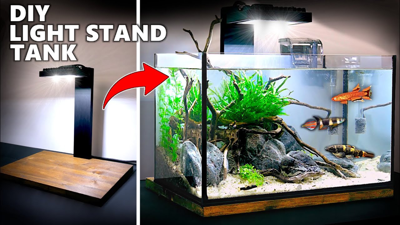 Smart Ways to Optimize Your Fish Tank Light for a Vibrant Aquatic Environment in 2025