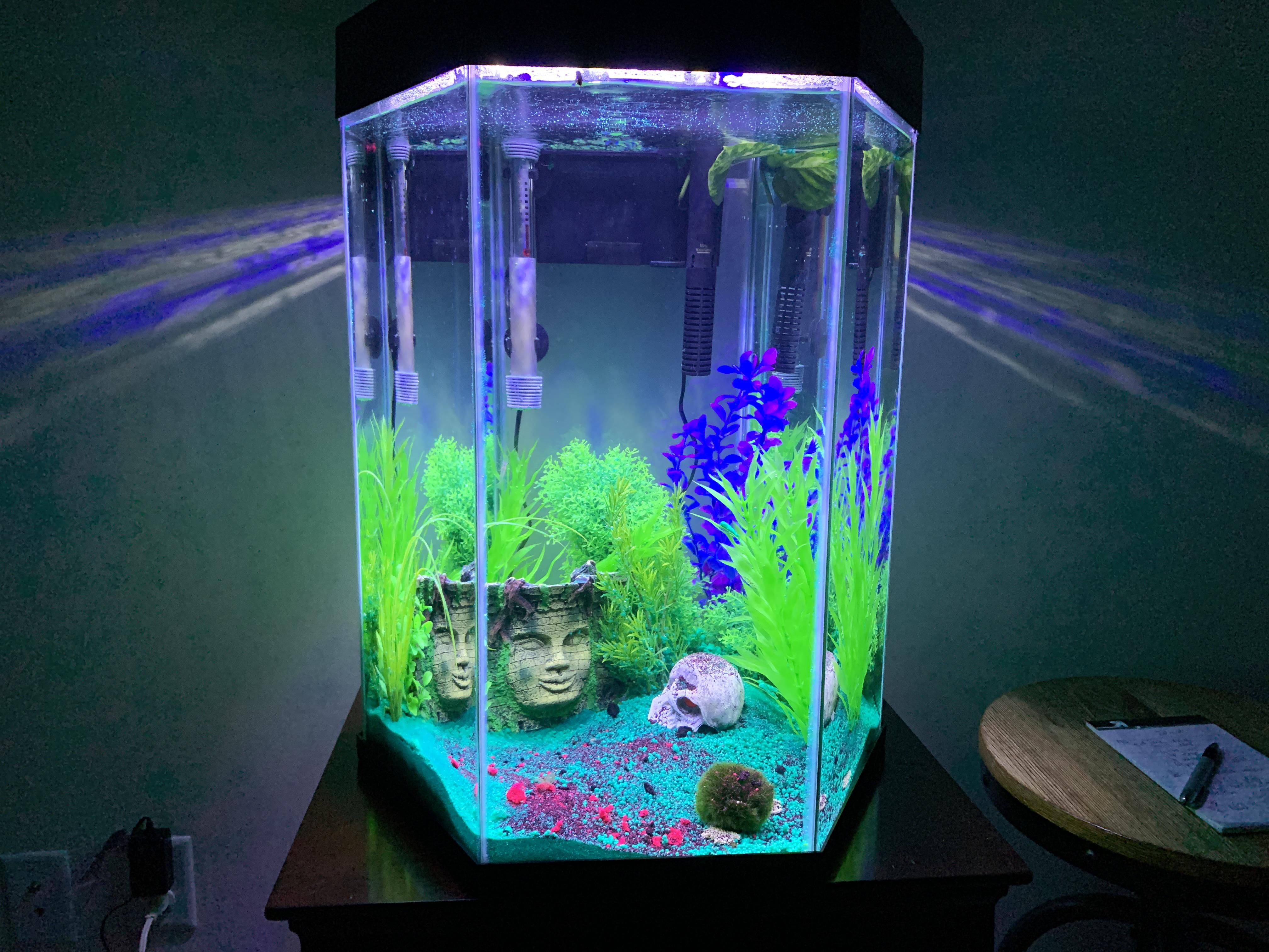 Hexagon Fish Tank