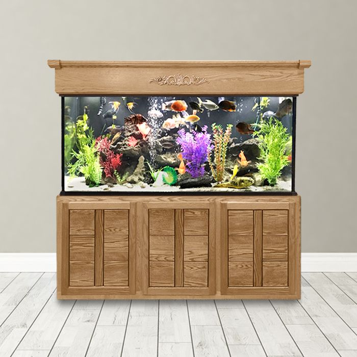 Smart Ways to Choose the Best Fish Tank Stands for Your Home in 2025