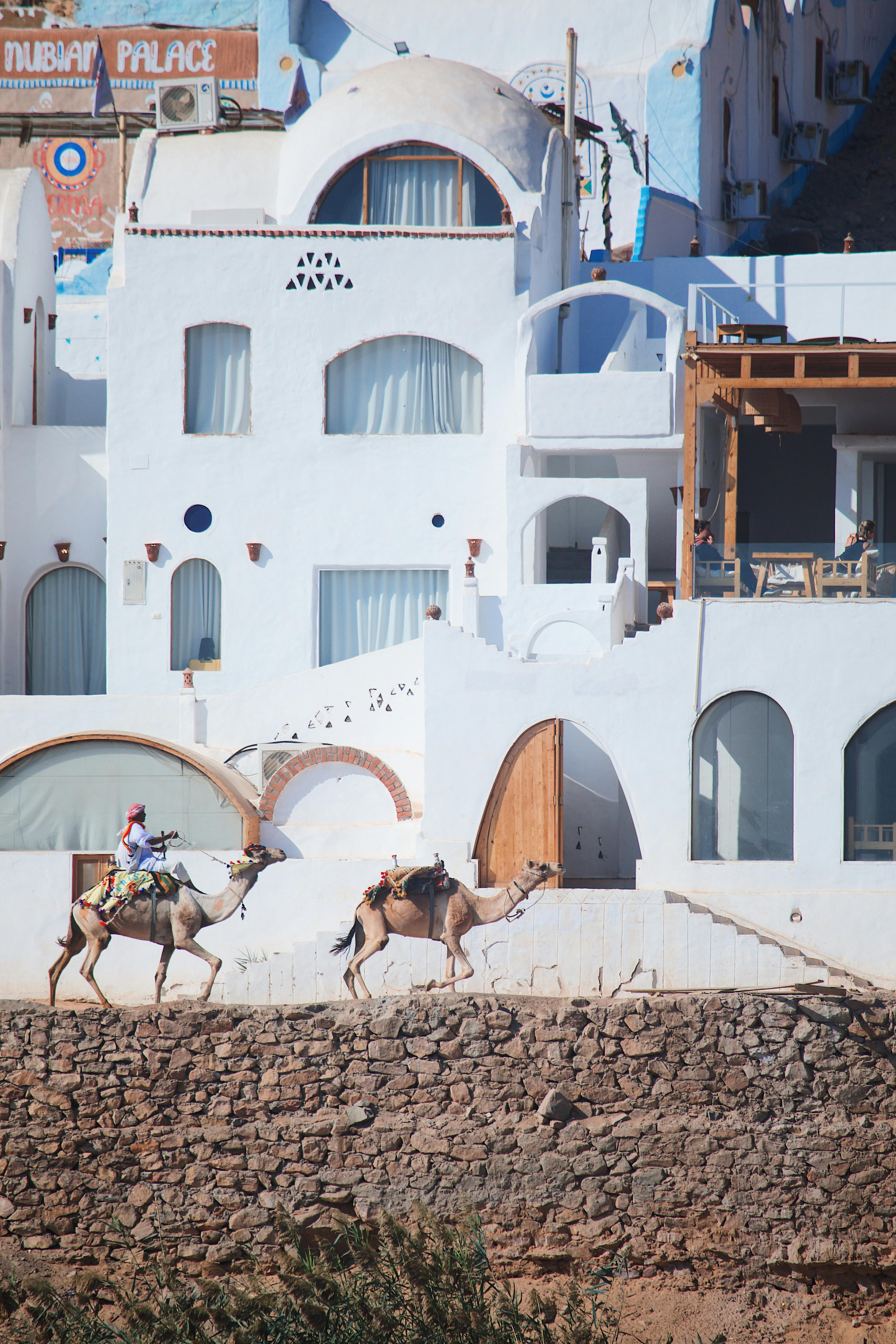 Calico Fish House