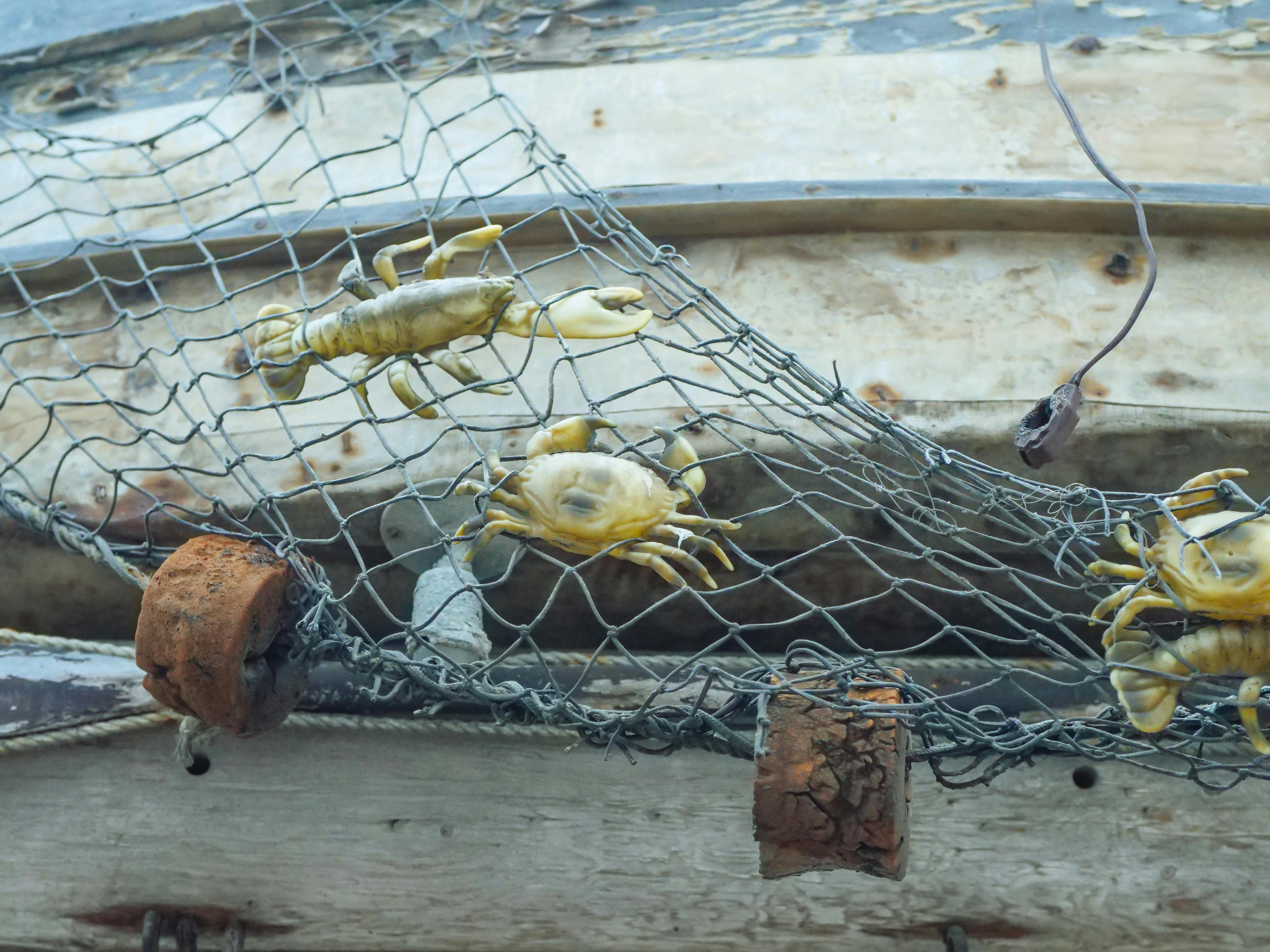 Fresh Seafood at the Fish Market Del Mar