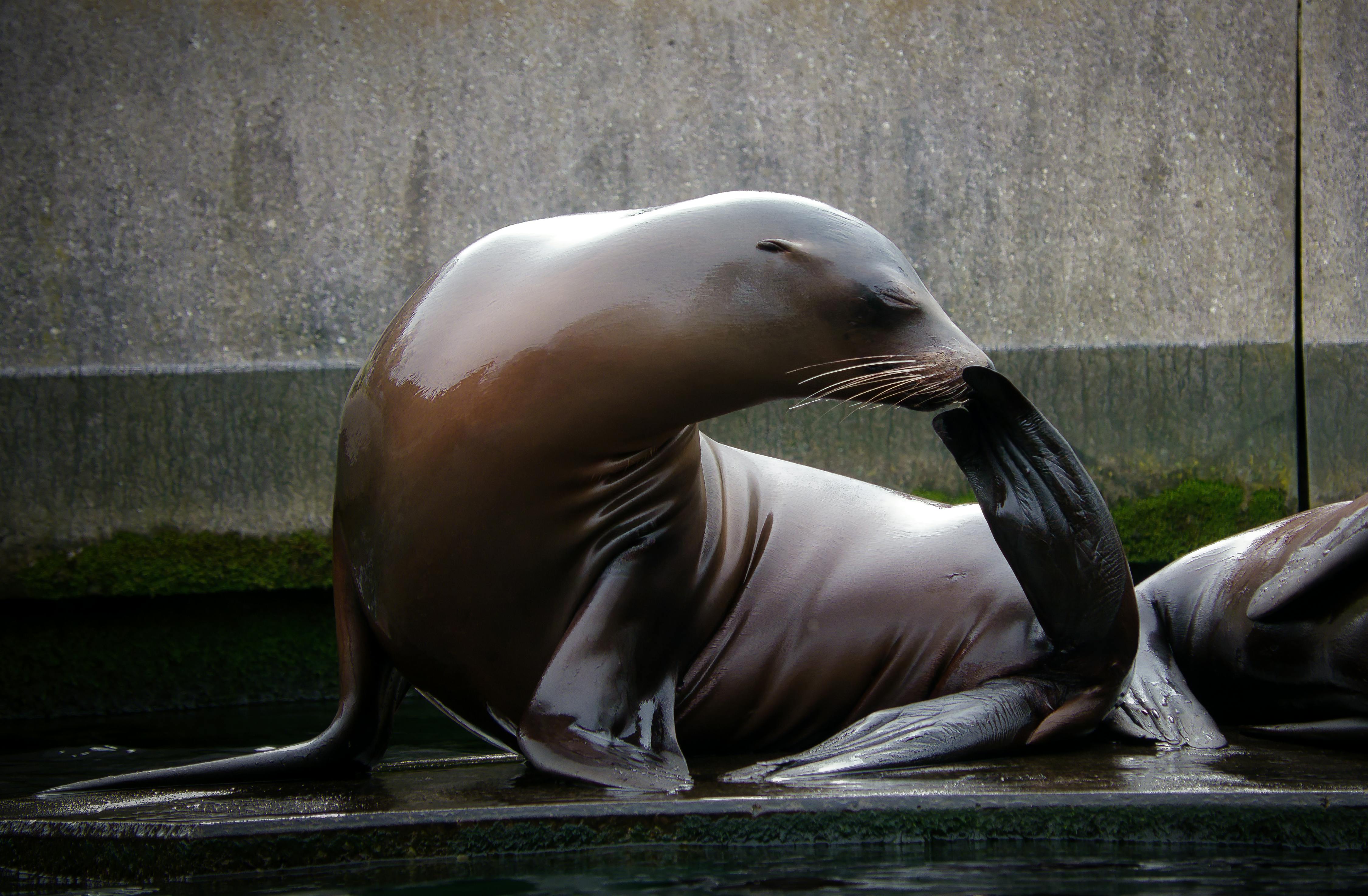 Tennessee Aquarium Reviews