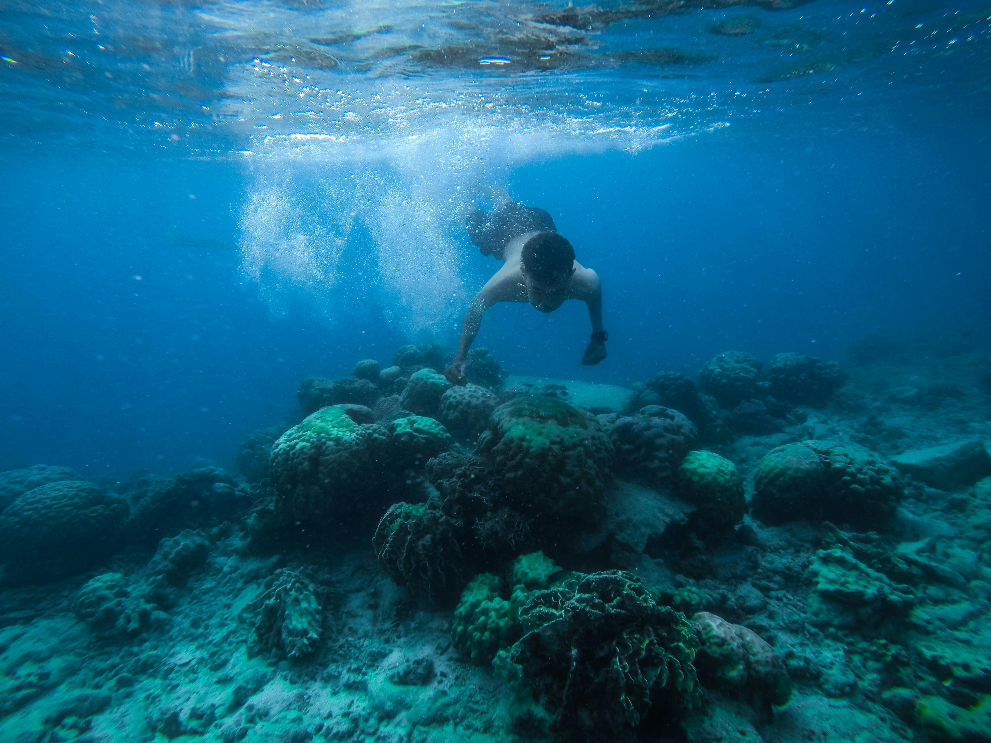 Rainbow Reef Dive Center